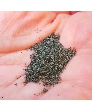 STEEL BEADS 1 KG