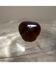 GLASS NOSES SHINY
