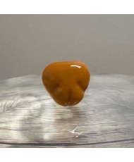GLASS NOSES SHINY