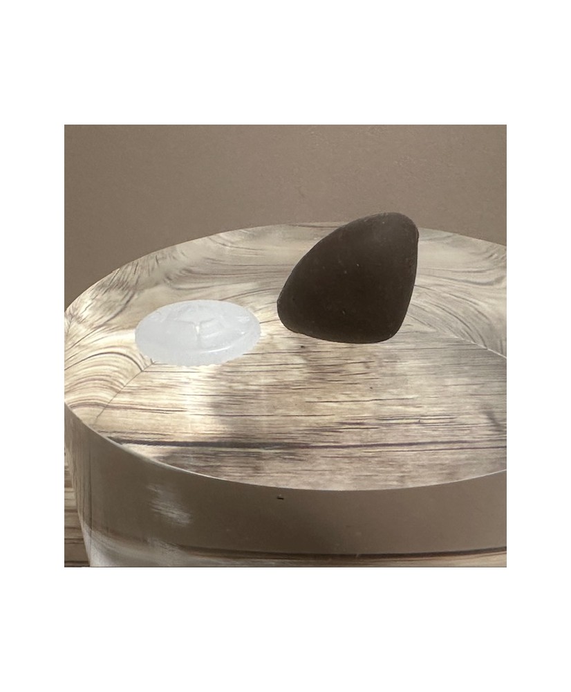 PLASTIC SOFT SAFETY NOSES